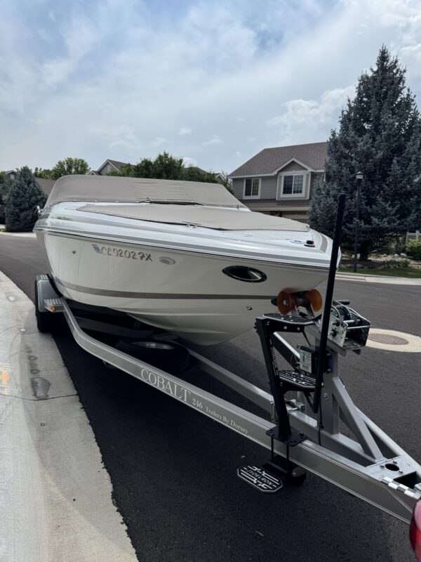 Boat Trailer Steps with Handrail - Image 8